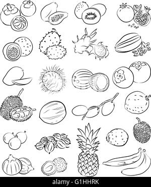 Vector set de fruits tropicaux en mode linéaire Illustration de Vecteur