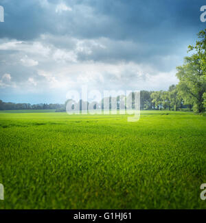 Beau paysage de printemps de la zone rurale Banque D'Images