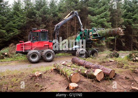 Une ramasseuse-presse Brash au travail sur les terrains de la Commission forestière près de Neath au Pays de Galles. Banque D'Images