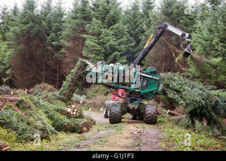Une ramasseuse-presse Brash au travail sur les terrains de la Commission forestière près de Neath au Pays de Galles. Banque D'Images