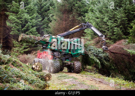 Une ramasseuse-presse Brash au travail sur les terrains de la Commission forestière près de Neath au Pays de Galles. Banque D'Images