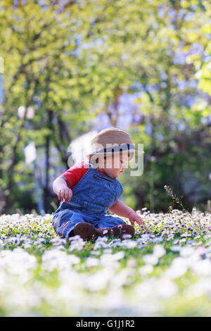 Garçon assis sur l'herbe et fleurs Daisy Banque D'Images