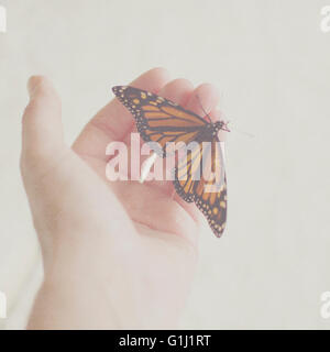 Monarch Butterfly on woman's hand Banque D'Images