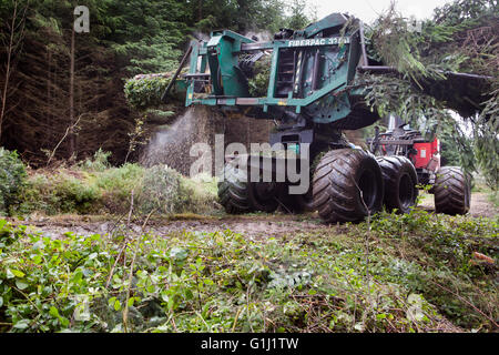 Une ramasseuse-presse Brash au travail sur les terrains de la Commission forestière près de Neath au Pays de Galles. Banque D'Images