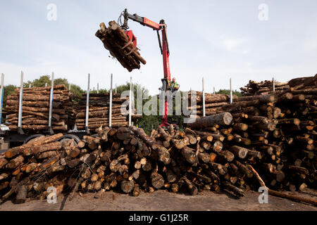 Un camion propose une offre de bois à l'ouest de l'énergie bois usine de Port Talbot, Pays de Galles. L'usine génère 14MWe bois forestier et nettoyer les résidus de transformation du bois dans un état de l'art installation de combustion. Photo de Mike Goldwater Banque D'Images