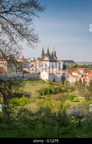 Vue sur le château de Prague à partir de la colline de Petrin blossoming, Prague, République Tchèque, Europe Banque D'Images