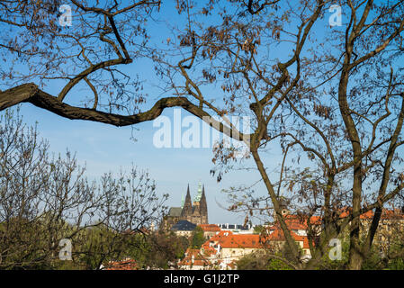 Vue sur le château de Prague à partir de la colline de Petrin blossoming, Prague, République Tchèque, Europe Banque D'Images