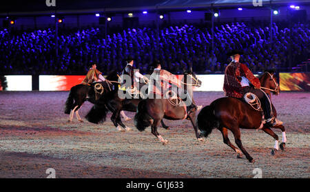 Windsor, Royaume-Uni. 15 mai, 2016. Le Royal Windsor Horse Show 2016. L'imprimeur de la 90e anniversaire. Château de Windsor. Windsor Great Park. Credit : Julie Priestley/Alamy Live News Banque D'Images