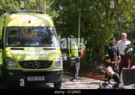 Abbaye de Netley, Southampton, UK. 16 mai, 2016. Un certain nombre d'équipes de pompiers de St Marys, Hightown et Redbridge sont ce matin la lutte contre un incendie qui a éclaté dans un bâtiment avec dans le parc du château. Les équipages ont été appelé juste après 9 h 30 ce matin et face à un feu bien développé. Un certain nombre d'appareils sont sur les lieux et sont en ce moment d'essayer de circonscrire le feu qui avait commencé dans une salle de bains de la catégorie deux bâtiment classé. Credit : uknip/Alamy Live News Banque D'Images