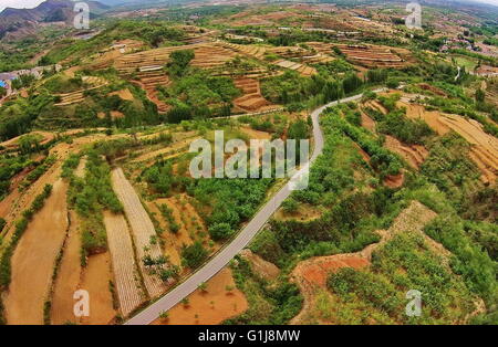 Shijiazhuang. 16 mai, 2016. Photo prise le 16 mai 2016 montre la scène de Dazhuang Village de Qian'an, Ville de la Chine du nord dans la province de Hebei. Le gouvernement local a fait des efforts de boisement au cours des dernières années pour améliorer l'éco-environnement et de générer des revenus pour les villageois. Crédit : Yang Shiyao/Xinhua/Alamy Live News Banque D'Images