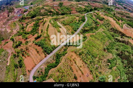 Shijiazhuang. 16 mai, 2016. Photo prise le 16 mai 2016 montre la scène de Dazhuang Village de Qian'an, Ville de la Chine du nord dans la province de Hebei. Le gouvernement local a fait des efforts de boisement au cours des dernières années pour améliorer l'éco-environnement et de générer des revenus pour les villageois. Crédit : Yang Shiyao/Xinhua/Alamy Live News Banque D'Images