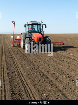 Agriculteur de semis de maïs maïs du tracteur Banque D'Images