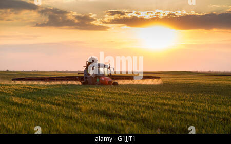 Agriculteur de cultures de pulvérisation du tracteur au coucher du soleil Banque D'Images