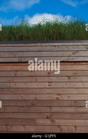 Une cabine eco en bois avec de plus en plus d'herbe sur le toit Banque D'Images