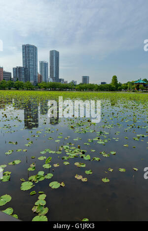 Lake à Ueno, Tokyo, Japon Banque D'Images