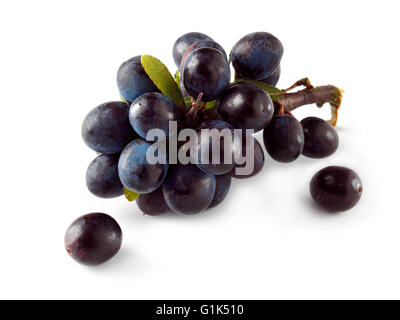 Close up of fresh fruits sloe (Prunus spinosa) sur une branche avec des feuilles - Fond blanc coupé Banque D'Images