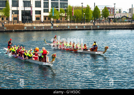 Salford Quays - Dragon Boat Race Banque D'Images