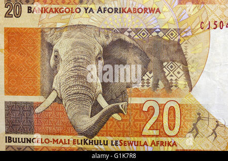 Une vue étroite de l'arrière d'un rand 20 note de l'Afrique du Sud. Banque D'Images