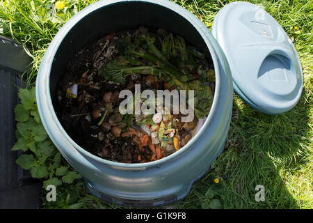 Intérieur d'un bac à compost en plastique pour la maison avec les restes et déchets de jardin à l'intérieur Banque D'Images