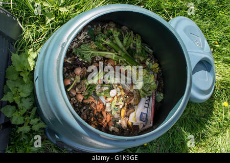 Intérieur d'un bac à compost en plastique pour la maison avec les restes et déchets de jardin à l'intérieur Banque D'Images