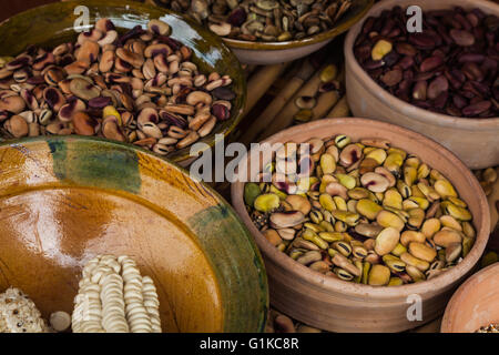 Variété de maïs et de haricots cultivés dans le village de Chinchero, près de Cusco, Pérou Banque D'Images