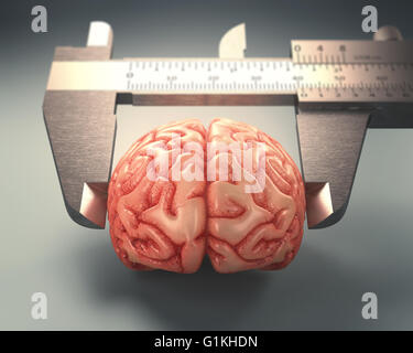 Règle mesurant l'étrier d'un cerveau humain. Image concept de différences dans l'IQs. Banque D'Images