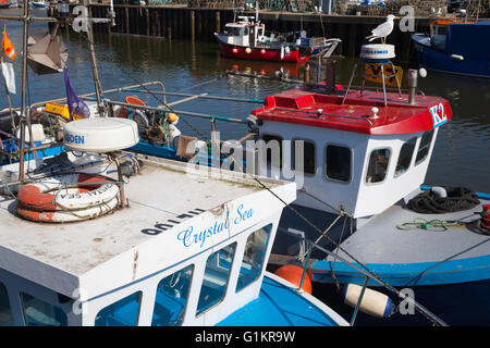 Une mouette au repos sur un bateau dans le port de Whitby. Banque D'Images
