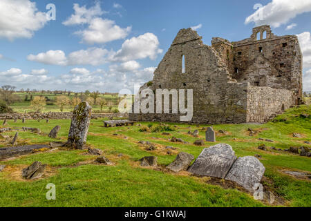 Vue sur les ruines de l'église Saint Nicolas, à la ville perdue de Newtown Jerpoint, comté de Kilkenny, Leinster, Province de l'Irlande. Banque D'Images