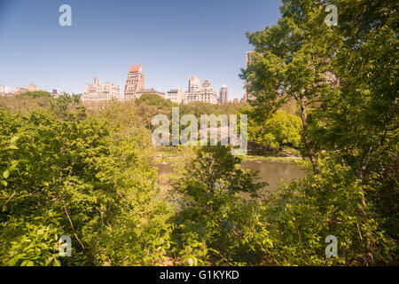 La vue sur la Cinquième Avenue à partir du point le plus haut dans le sanctuaire naturel Hallett dans Central Park à New York le lundi 16 mai 2016. Fermé depuis 1934, le paysage naturel de 4 hectares au milieu de la ville est un sanctuaire d'oiseaux et sera ouverte pour un temps limité au public seulement 20 personnes entrant à la fois. Des centaines alignés pour être laissé en pour admirer le paysage. (© Richard B. Levine) Banque D'Images