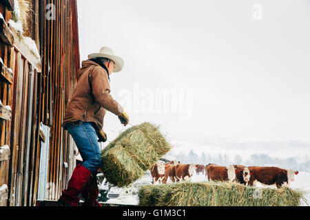 Caucasian farmer hauling hay près de grange enneigée Banque D'Images