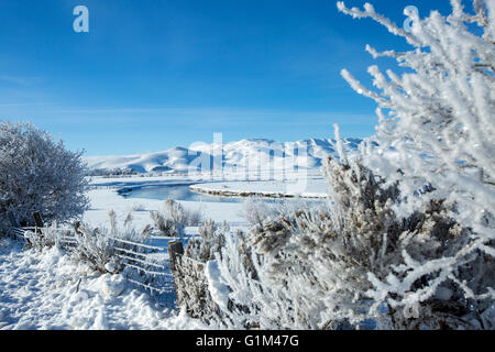 Frosty arbres et rivière in snowy rural landscape Banque D'Images