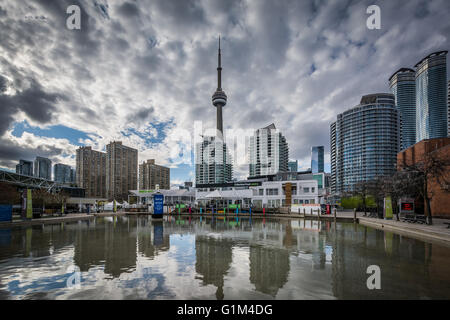 Bâtiments de la Harbourfront, à Toronto, en Ontario. Banque D'Images