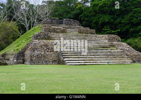 Temple de la Green Tome aussi appelé temple A1. Site historique d'Altun Ha. Le district de Belize, Belize Banque D'Images