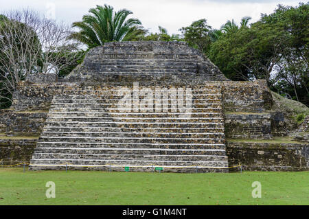 Escalier menant au sommet de Temple du tombeau vert ou d'un site1. Site historique d'Altun Ha. Le district de Belize, Belize Banque D'Images