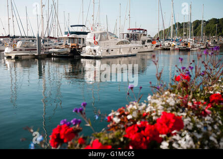 Une belle mariner avec des yachts de luxe et de bateau dans le port de St Peter Port Guernsey, Channel Islands, Royaume-Uni, Europe Banque D'Images