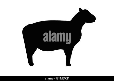 Des moutons ou des animaux en stock silhouette noire isolated on white Banque D'Images