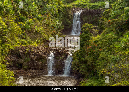 Umuauma falls situé à 16 miles au nord de Hilo sur la grande île d'Hawaï. Banque D'Images