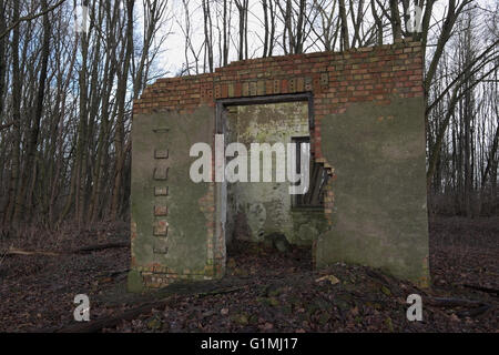 Regardez à travers les vestiges d'une maison en ruines dans la forêt. Banque D'Images