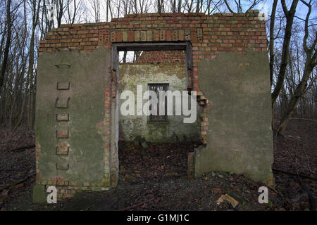 Regardez à travers les vestiges d'une maison en ruines dans la forêt. Banque D'Images