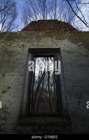 Regarder à travers une fenêtre d'une maison en ruines dans la forêt avec une vue vers le haut de la création y compris le bleu du ciel. Banque D'Images