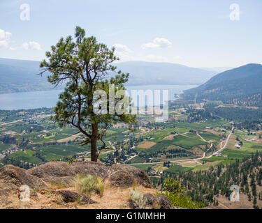 Vue depuis la montagne de la tête du géant, un volcan éteint l'augmentation à 500 mètres sur le lac Okanagan près de Summerland, BC, Canada Banque D'Images