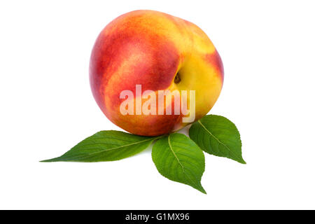 Un fruit nectarine sur blanc Banque D'Images