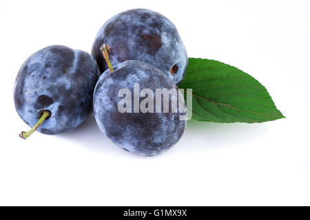 Les prunes avec fruits biologiques sur des feuilles blanches. Libre. Banque D'Images