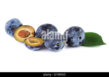 Prunes fraîches bio isolé sur blanc. Banque D'Images