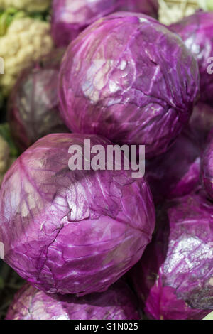 Chou pourpre dans le marché Banque D'Images