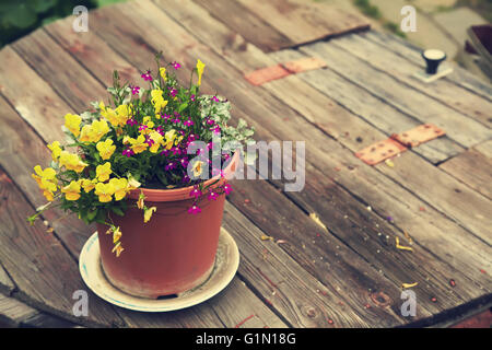 Jardin des fleurs dans un pot en céramique Banque D'Images