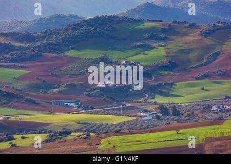 Près de Villanueva de la Concepcion, la province de Malaga, Andalousie, Espagne du sud. L'agriculture. De plus en plus les cultures et les champs en jachère. Banque D'Images