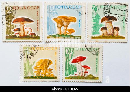 UZHGOROD, UKRAINE - circa 2016 MAI : Collection de timbres-poste imprimés en URSS, montre, vers 1964 série champignons Banque D'Images