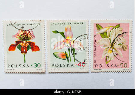 UZHGOROD, UKRAINE - circa 2016 MAI : Collection de timbres-poste imprimés en Pologne, présente des fleurs d'orchidées, vers 1965 Banque D'Images