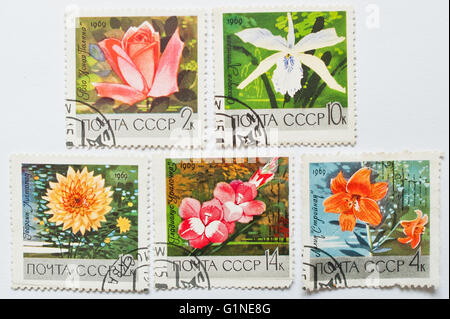 UZHGOROD, UKRAINE - circa 2016 MAI : Collection de timbres-poste imprimés en URSS, montre différentes fleurs, circa 1969 Banque D'Images